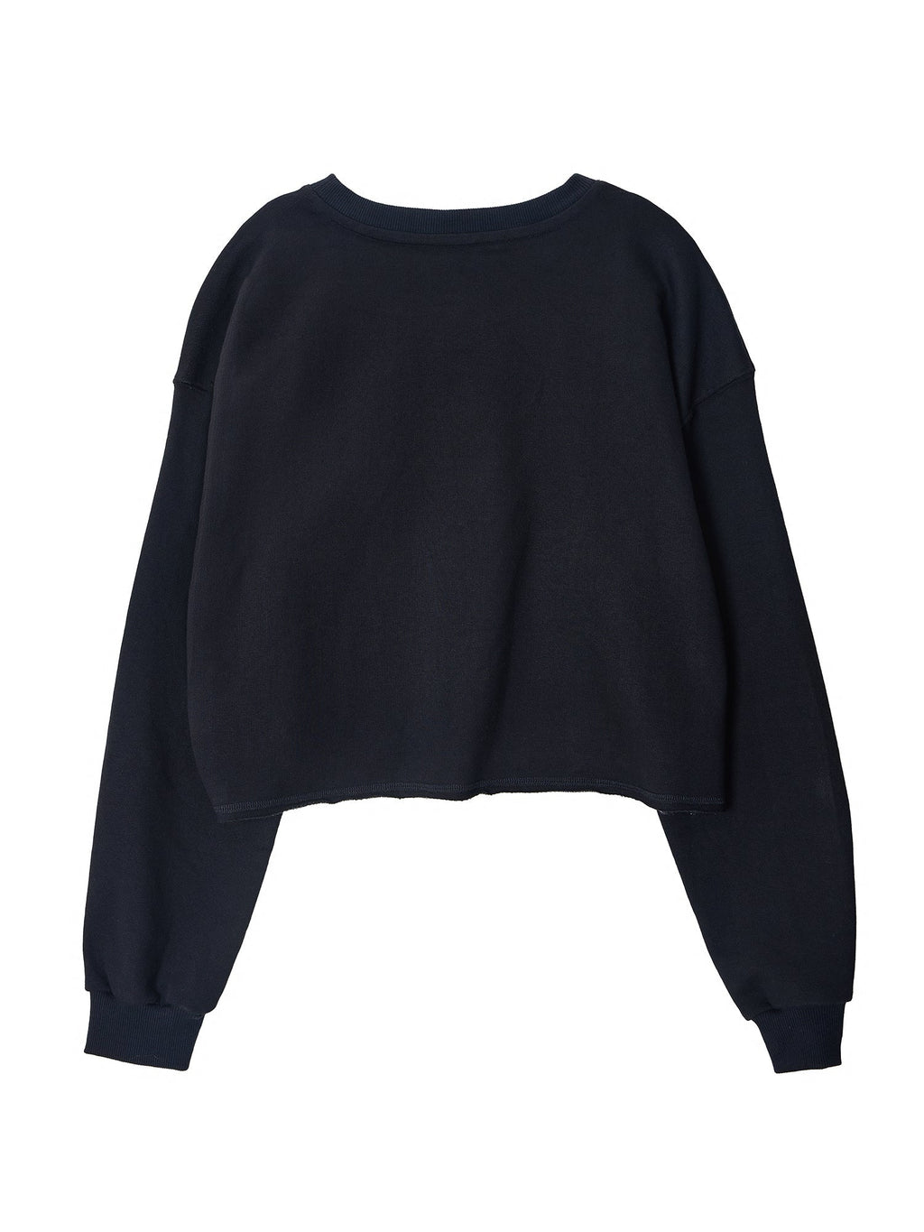 Embroidered Cropped Sweatshirt