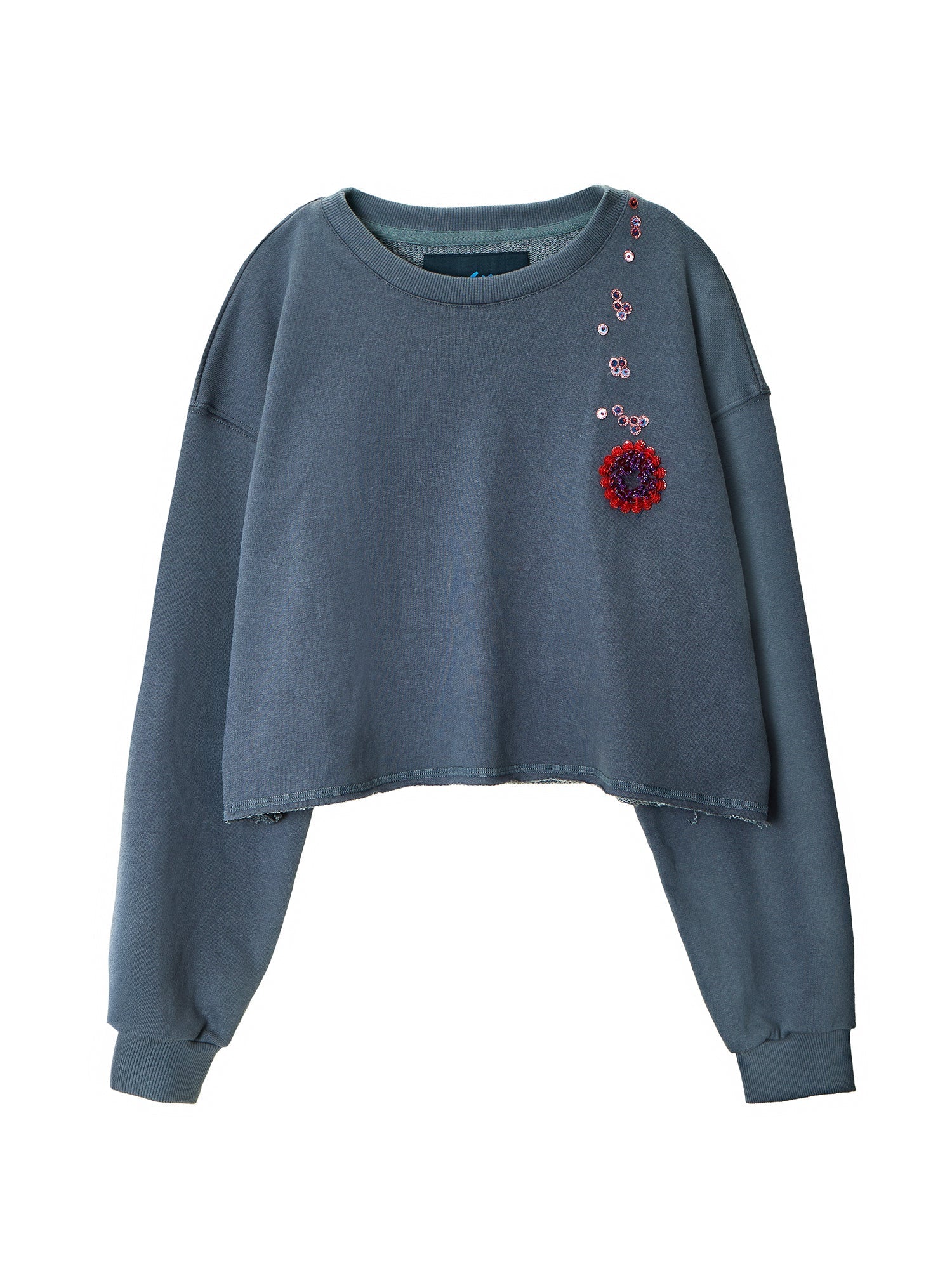 Embroidered Cropped Sweatshirt