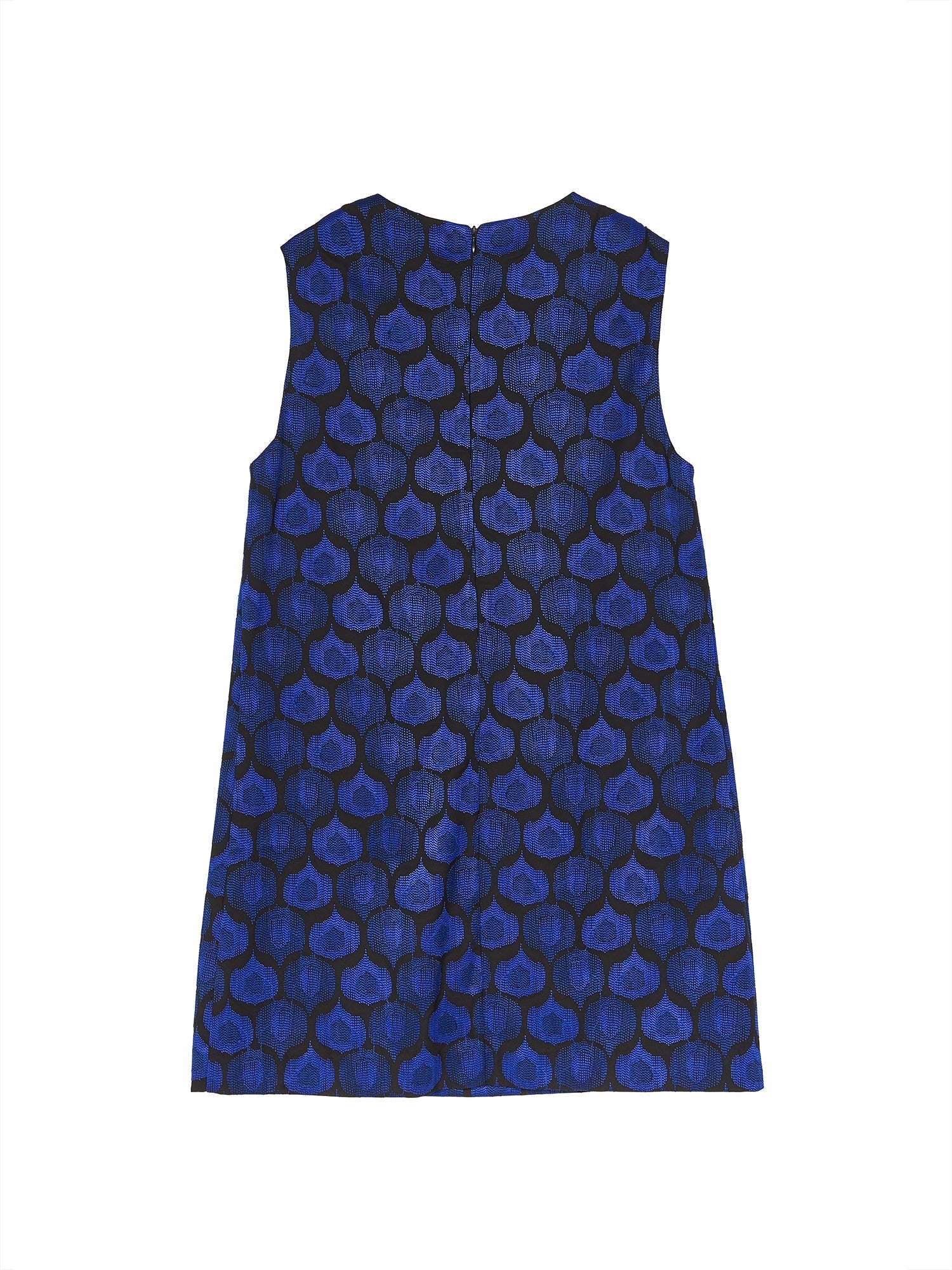 Limited Edition Embroidered Micro Tulle Sleeveless Dress